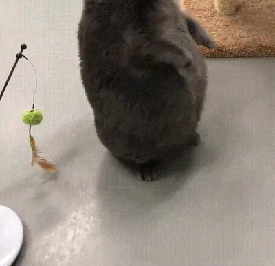 Enlace a La cara que pones cuando estás en la cola del McDonalds esperando tu turno