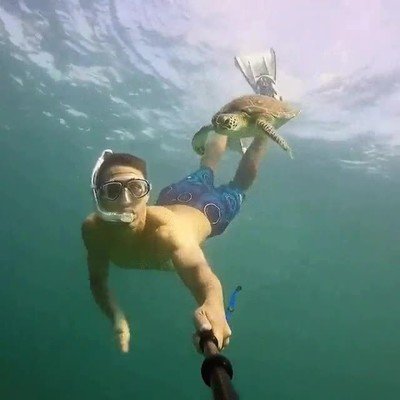 tortuga,salir,c&aacute;mara