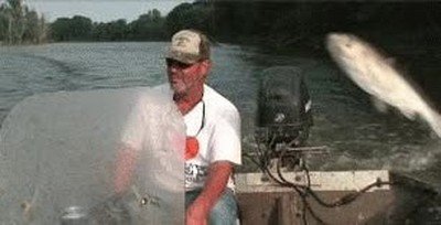 Enlace a A veces la naturaleza tiene un mensaje para ti