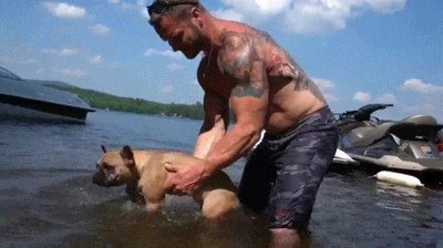 primera vez,ense&ntilde;ar,perro,nadar