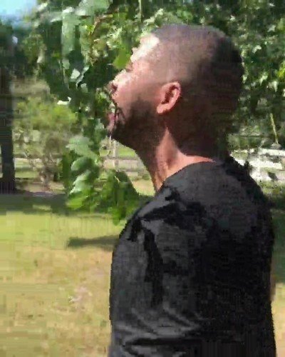 Enlace a La forma más adorable y peligrosa de alimentar a un elefante 