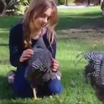 imposible,no,abrazos,sentidos