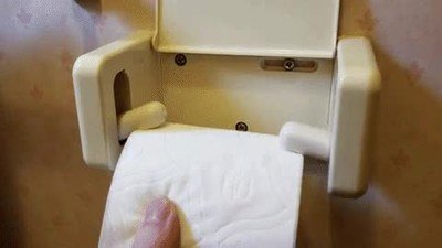 reemplazar,rollo,papel,excusa