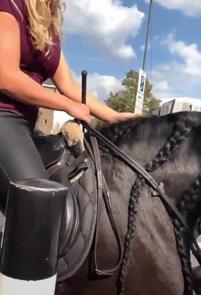 asumir,caballo,pelazo