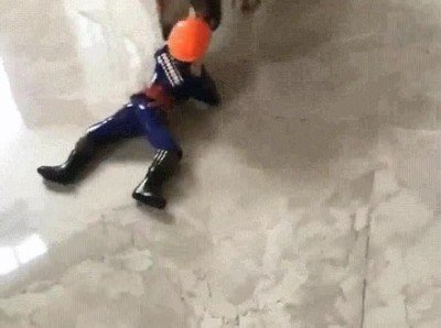 Enlace a Perros que han aprendido a hacerse el muerto