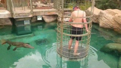 gente,pagar,experiencias,cocodrilo