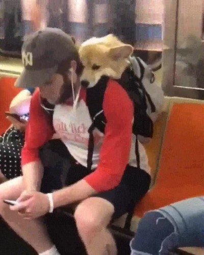 mejor,compa&ntilde;&iacute;a,viaje,tren