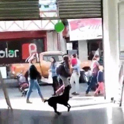 necesitar,globo,feliz,perro