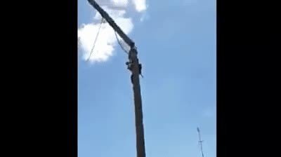 Enlace a Harry Potter ha crecido y ahora es electricista