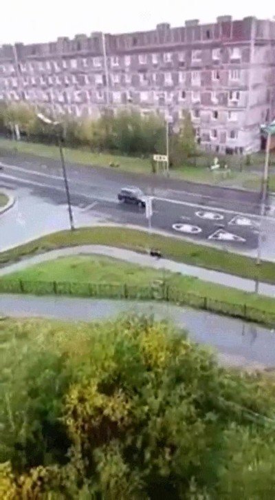 conducir,gente,accidente