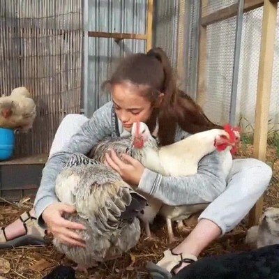 Enlace a El paraíso debe ser un sitio parecido a este