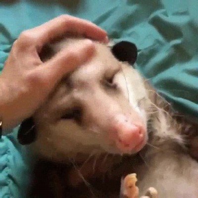 despertar,trabajar,cara