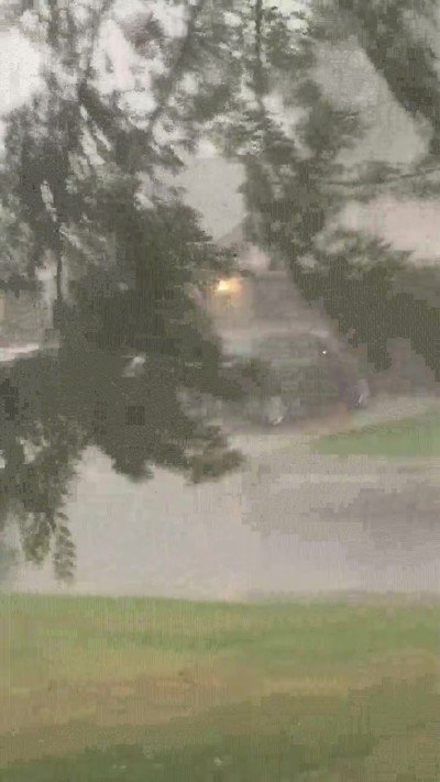 mejor,momento,lavar,coche