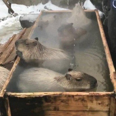 relax,merecidas,vacaciones