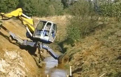 gr&uacute;a,animal,vida,propia