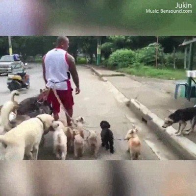 Enlace a No te metas con ningún miembro de la manada o lo pagarás 