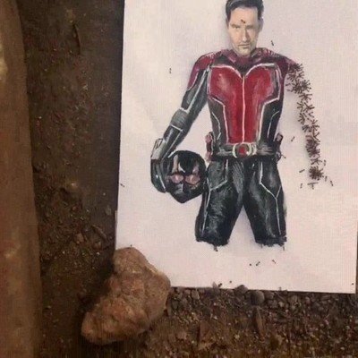 dibujo,realista,ant-man