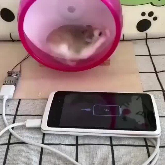 m&oacute;vil,smartphone,cargar,bater&iacute;a,hamster