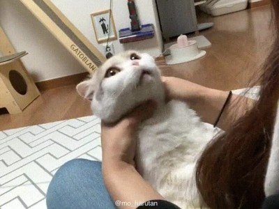 Enlace a La cara de la traición