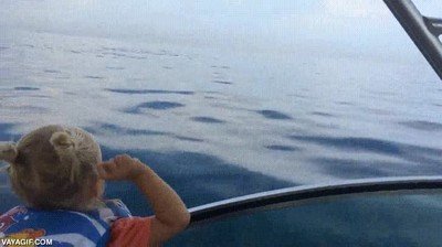 Enlace a La niña que susurraba a las ballenas