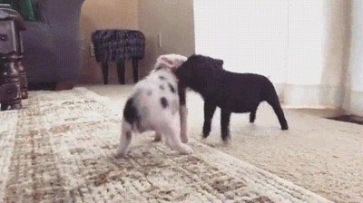 Enlace a Stephen y Janet jugando por casa