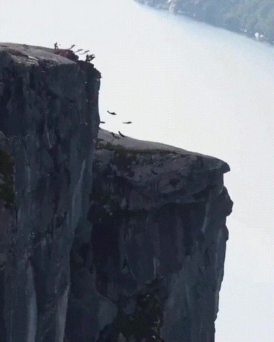 ping&uuml;inos,salto,acantilado