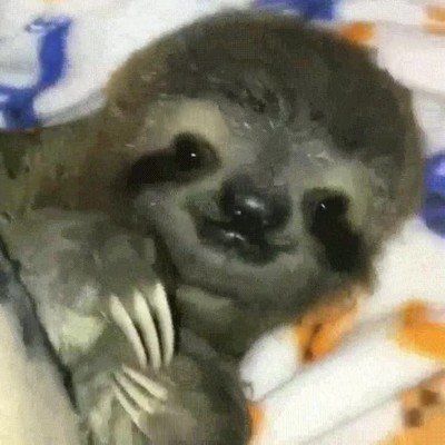 despertar,fin de semana,cama