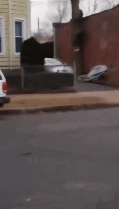 pelea,silla,palo,arrojar