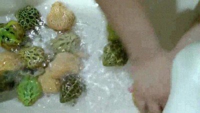 Enlace a Si tienes mascotas tendrás que lavarlas 