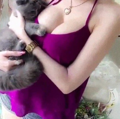 gato,humana,vivir,momento,precioso