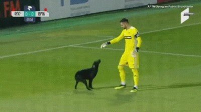 momento,divertido,carrera,portero