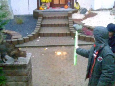 ultima vez,timmy,salto,gato