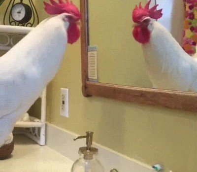 rallada,espejo,mirar