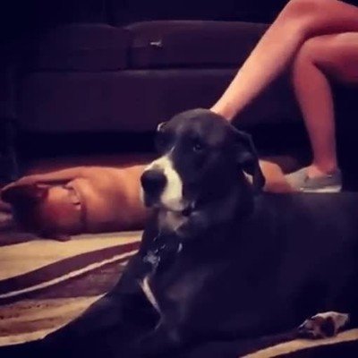 amigo,contar,misma,historia