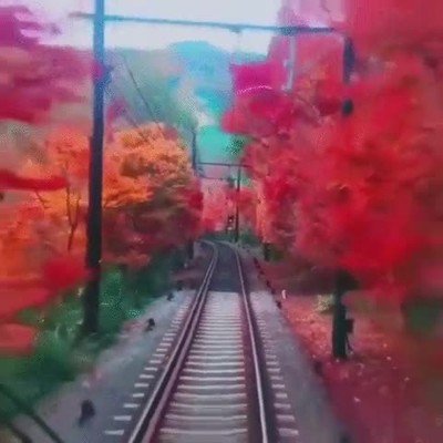 bello,paisaje,kyoto,final