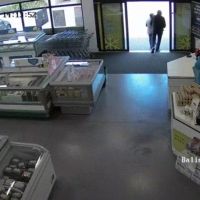 gente,elefante,chatarra