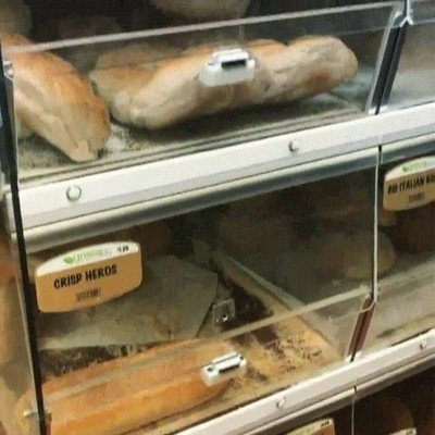 sorpresa,panaderia,pan,animales