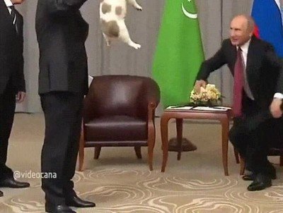 putin,sujetar,perro