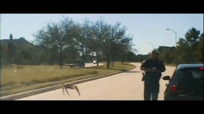 Pesadillas,ara&ntilde;a,polic&iacute;a