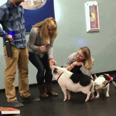 nuevos,amigos,&iexcl;