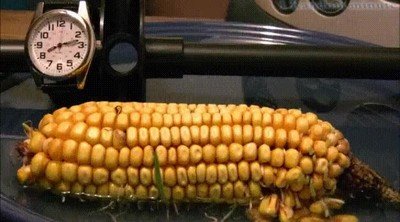 mal rollo,tremendo,gif,maiz