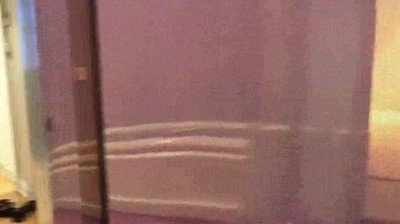 necesitar,piso,grande,coche,camara