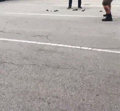 Enlace a Alex Jones chillando a un trozo de caca. Literal