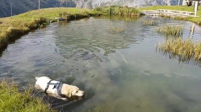 mejor,lugar,pero,vacaciones