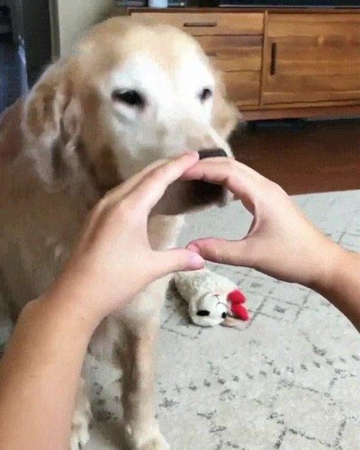 Enlace a Cualquier lugar es bueno para descansar la cabeza