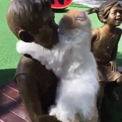 gato,estatua,mimos