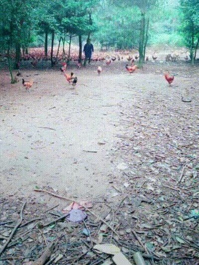 personas,magenitismo,especial