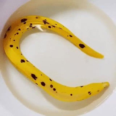 Enlace a Cuando vas al WC y te encuentras una mezcla entre serpiente y piel de plátano