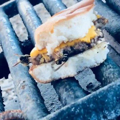 Enlace a Abejas pegándose un festín