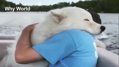 amistad,humanos,animales